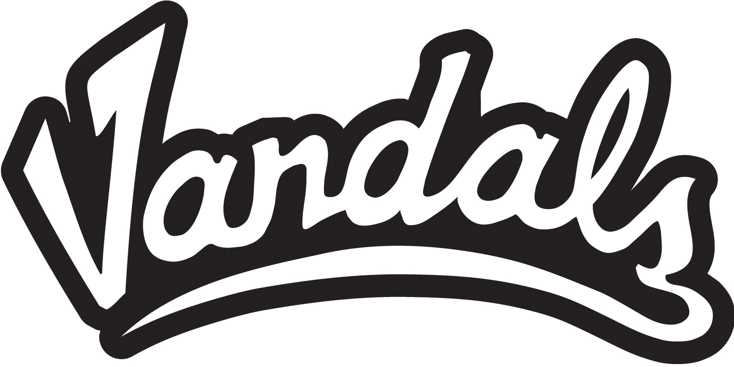Idaho Vandals 2014-2019 Wordmark Logo DIY iron on transfer (heat transfer)